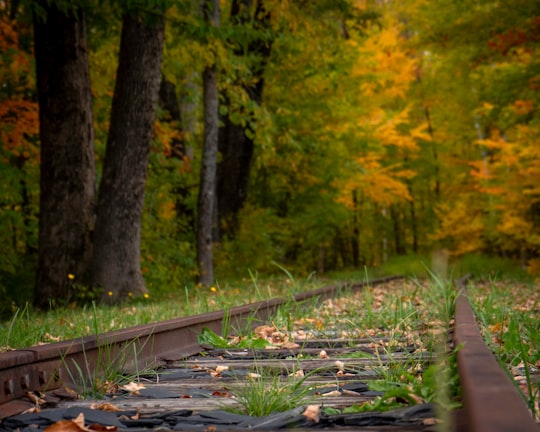 train track surrounded by trees in Monson United States