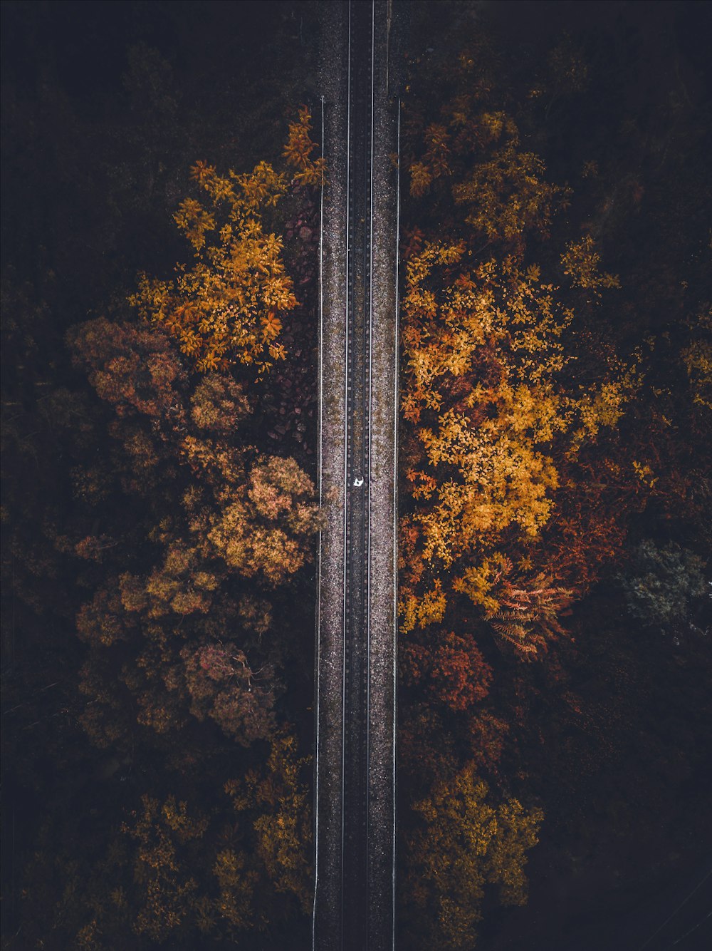 aerial view of railroad