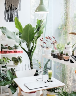 Bright office interior with natural light, plants, and bookkeeping materials arranged thoughtfully.