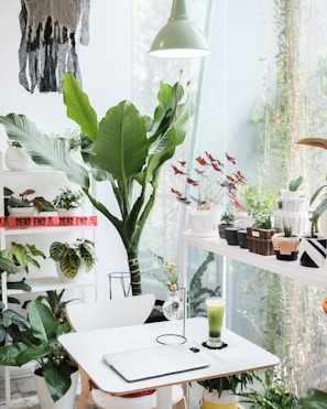 A bright, inviting workspace filled with plants and natural light reflecting the brand’s warmth.