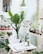 A vibrant workspace filled with plants and creative decor, showcasing a collaborative atmosphere.