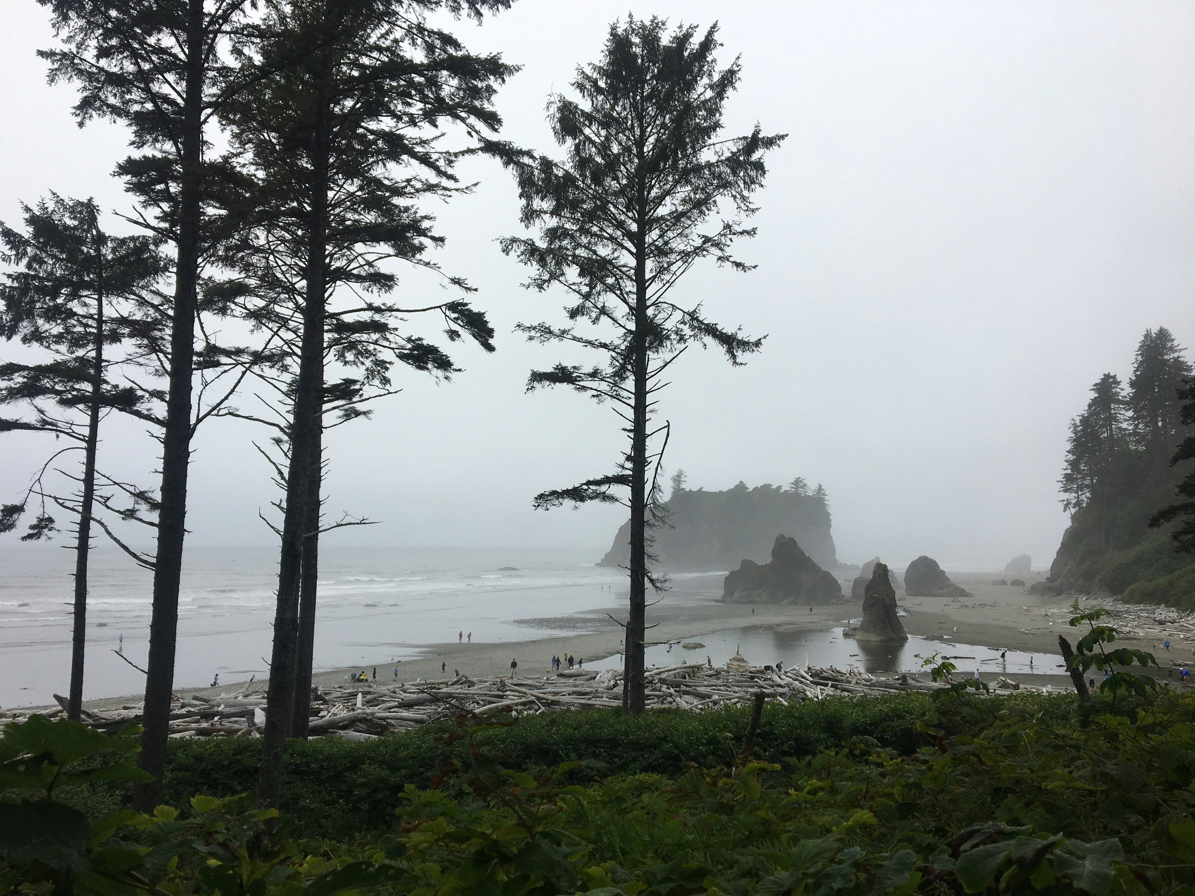 Photo by jhiggscoulthard