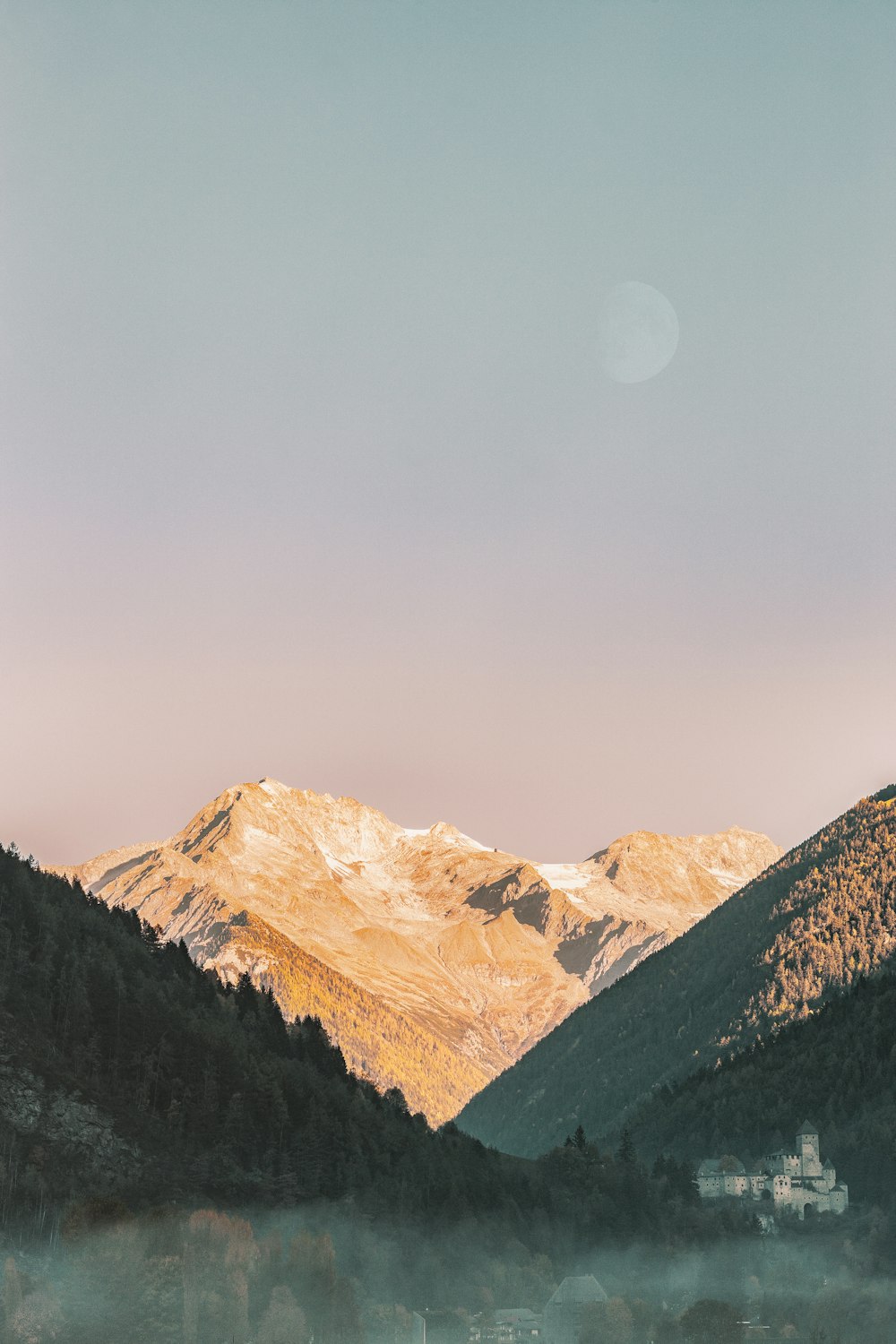 aerial photo of forest beside mountains