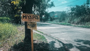 Close-up of a paved road winding through the neatly marked plots in Phase 2, with fresh landscaping.