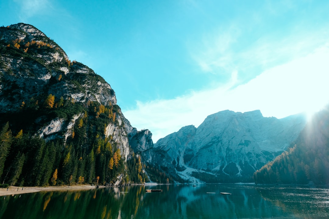 lake surrounded by trees