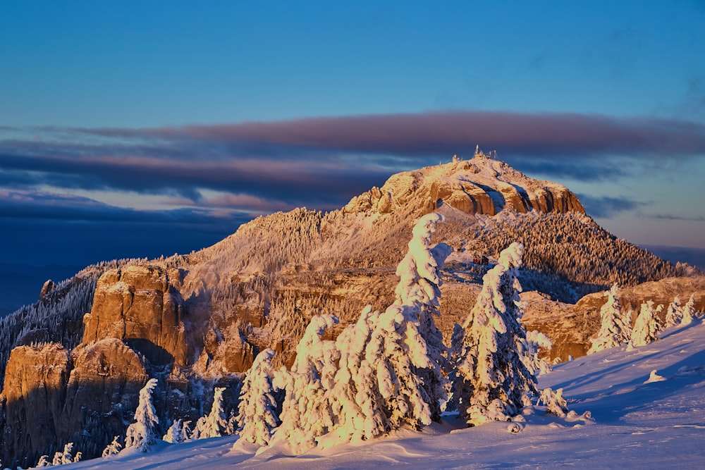 landscape photo of mountain