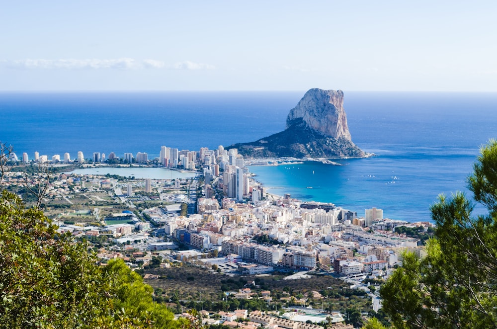 aerial photo of city beside sea