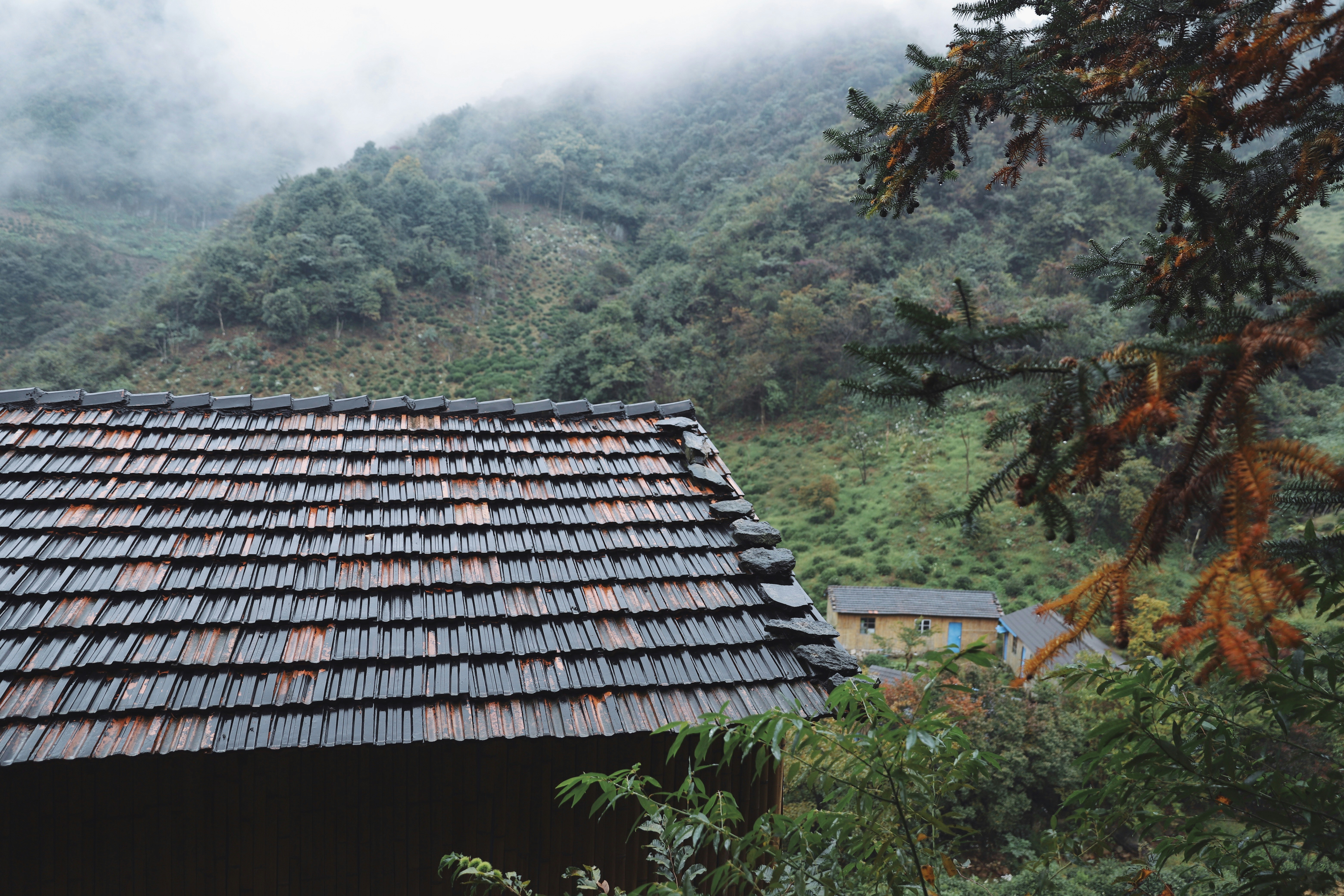 Bardeaux en châtaignier