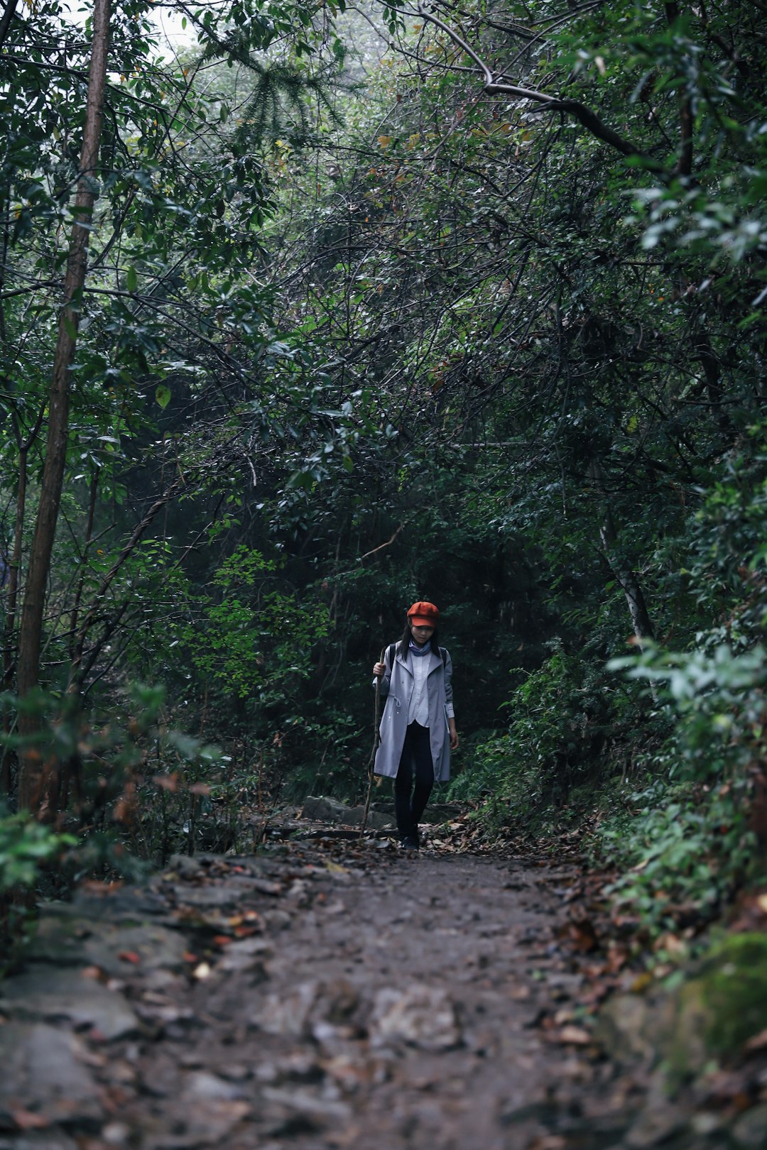 woman walking on brown pathway between green trees