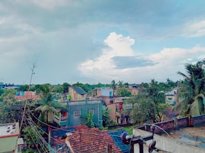 A bright, sunny view of North Miami Beach neighborhood with palm trees and colorful houses.
