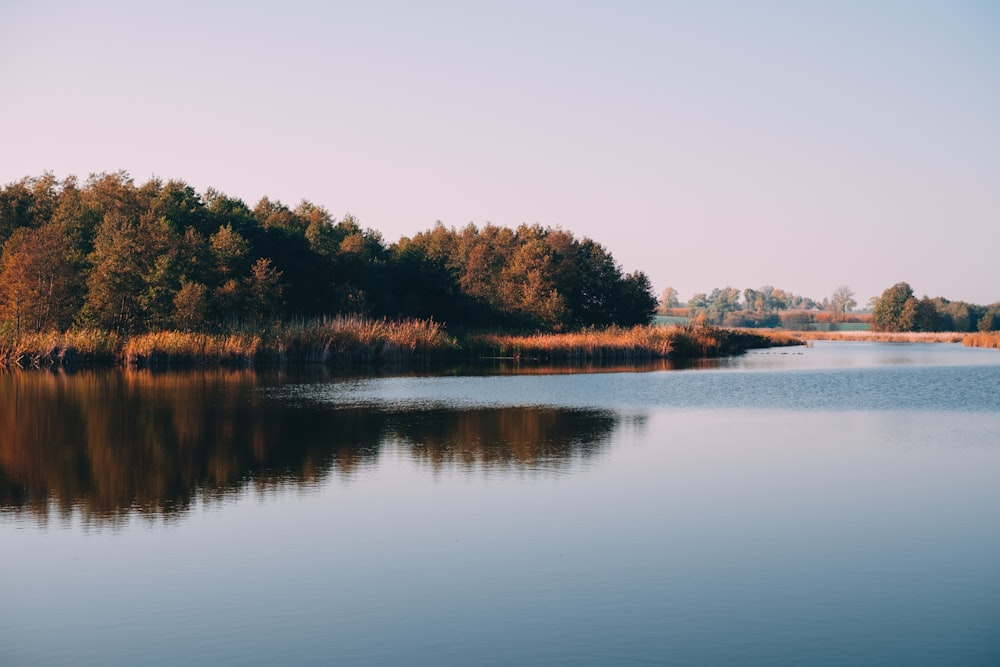 grün belaubte Bäume, die sich tagsüber auf dem spiegelglatten See spiegeln