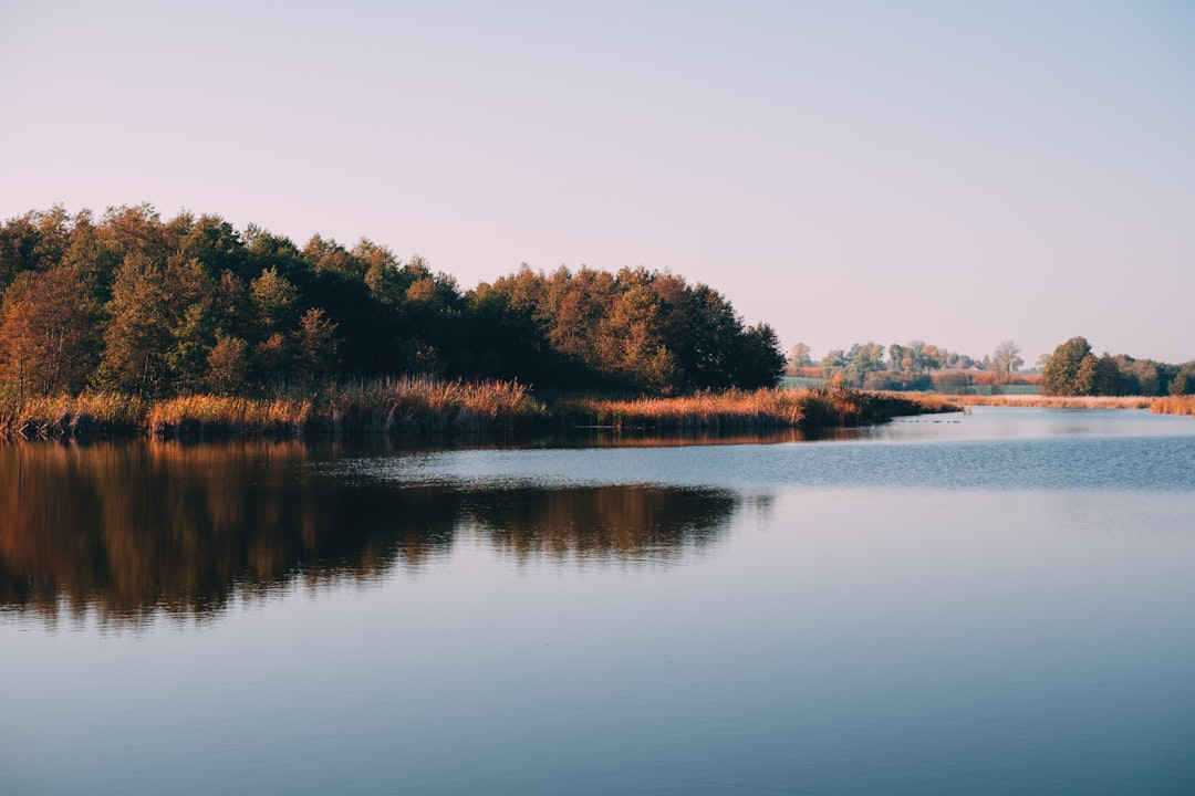 River photo spot Wyręba Poland