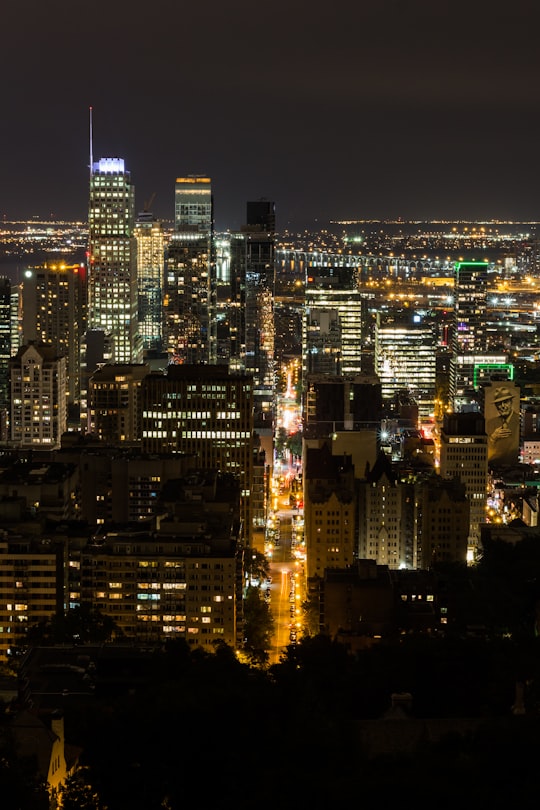 city lights during nighttime in Mount Royal Park Canada