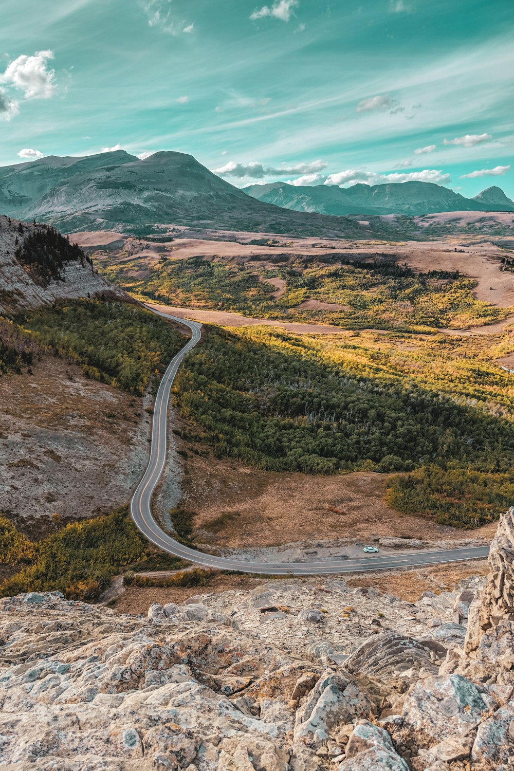 aerial photography of paved road in between land