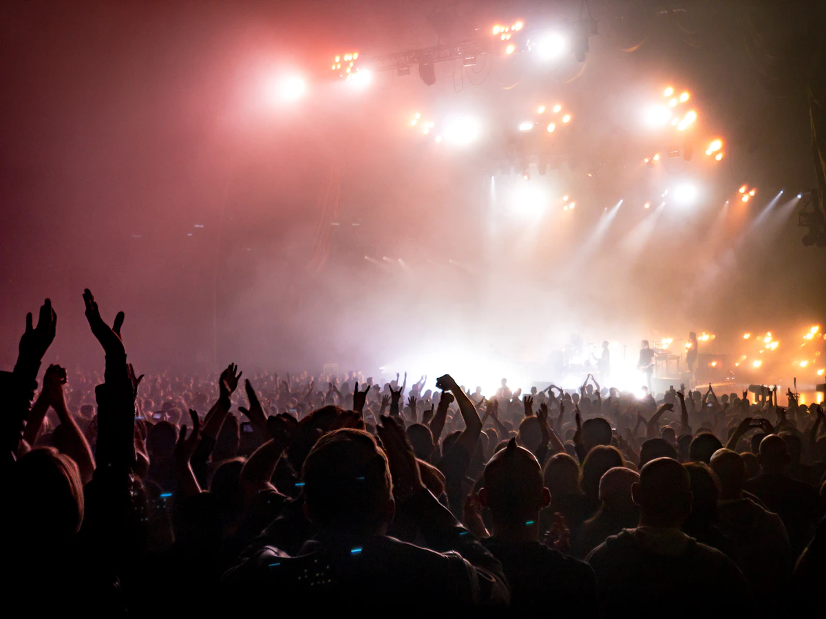 Silhouetted audience facing a brightly lit concert stage