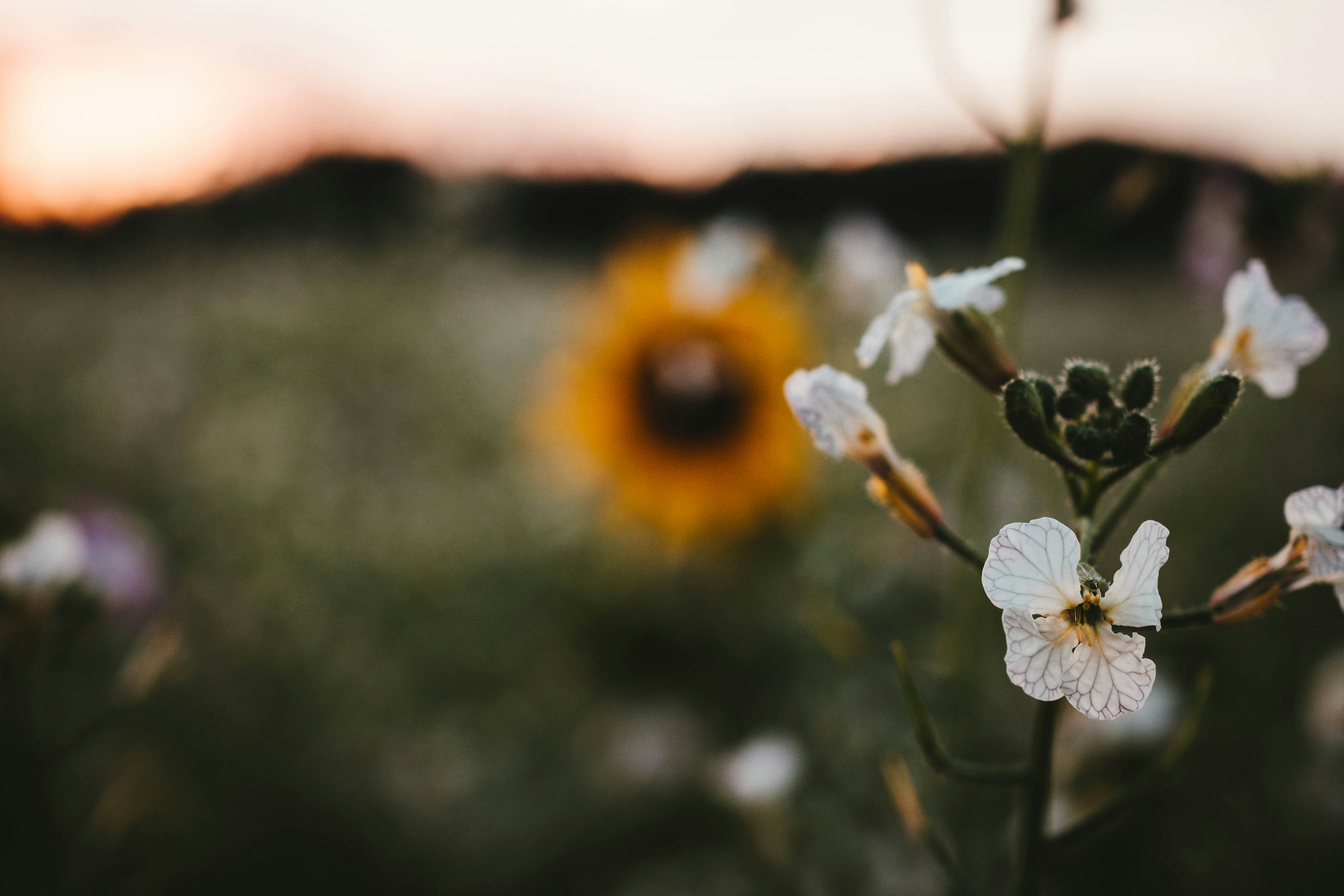 Photo by matthiasoberholzer