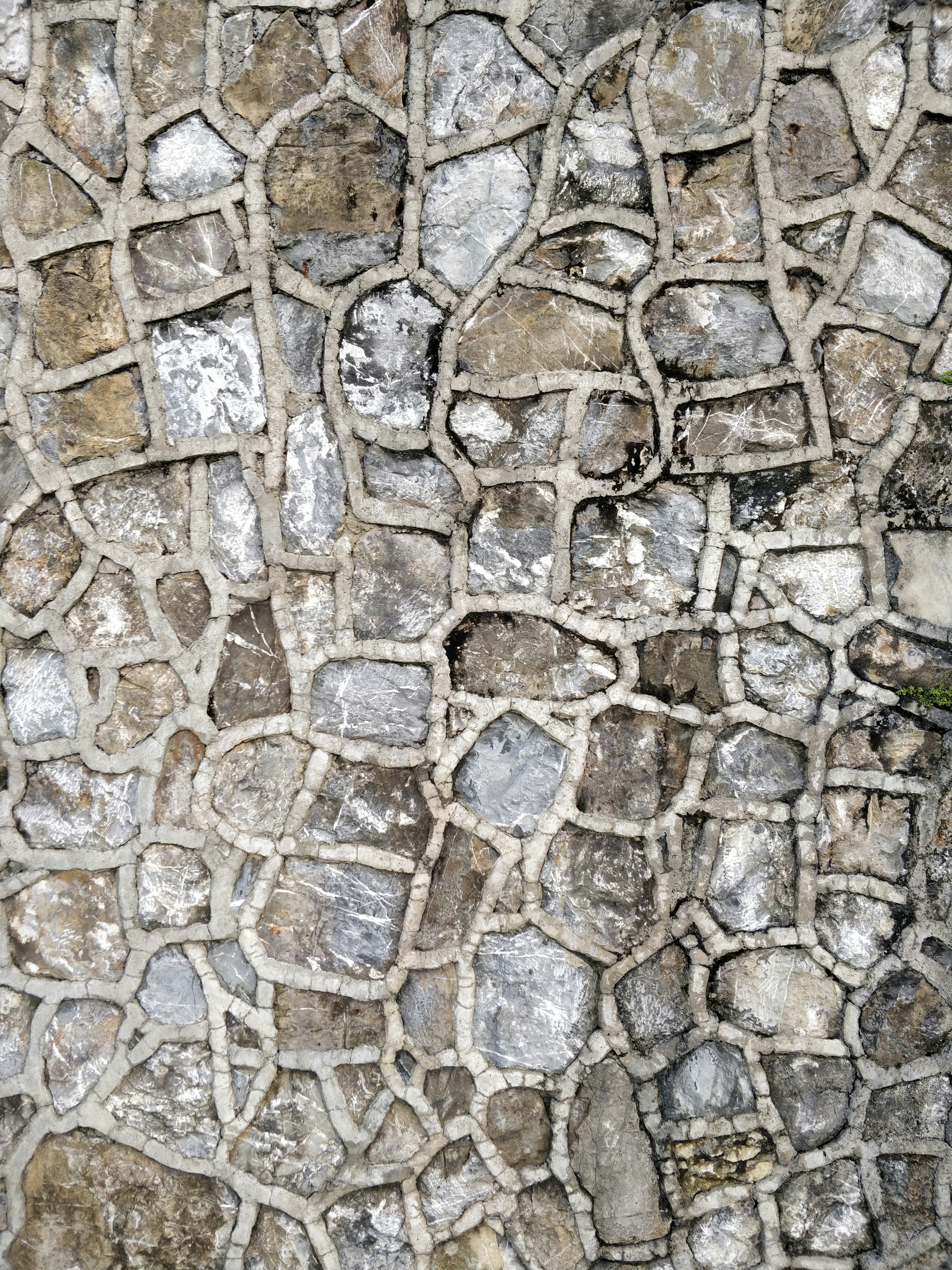 Photo by briankairuz