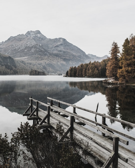 photo of Sils im Engadin/Segl Reservoir near Swiss National Park