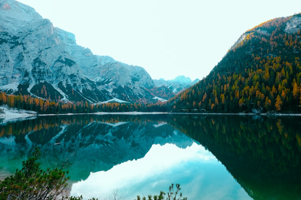 body of water near fountain