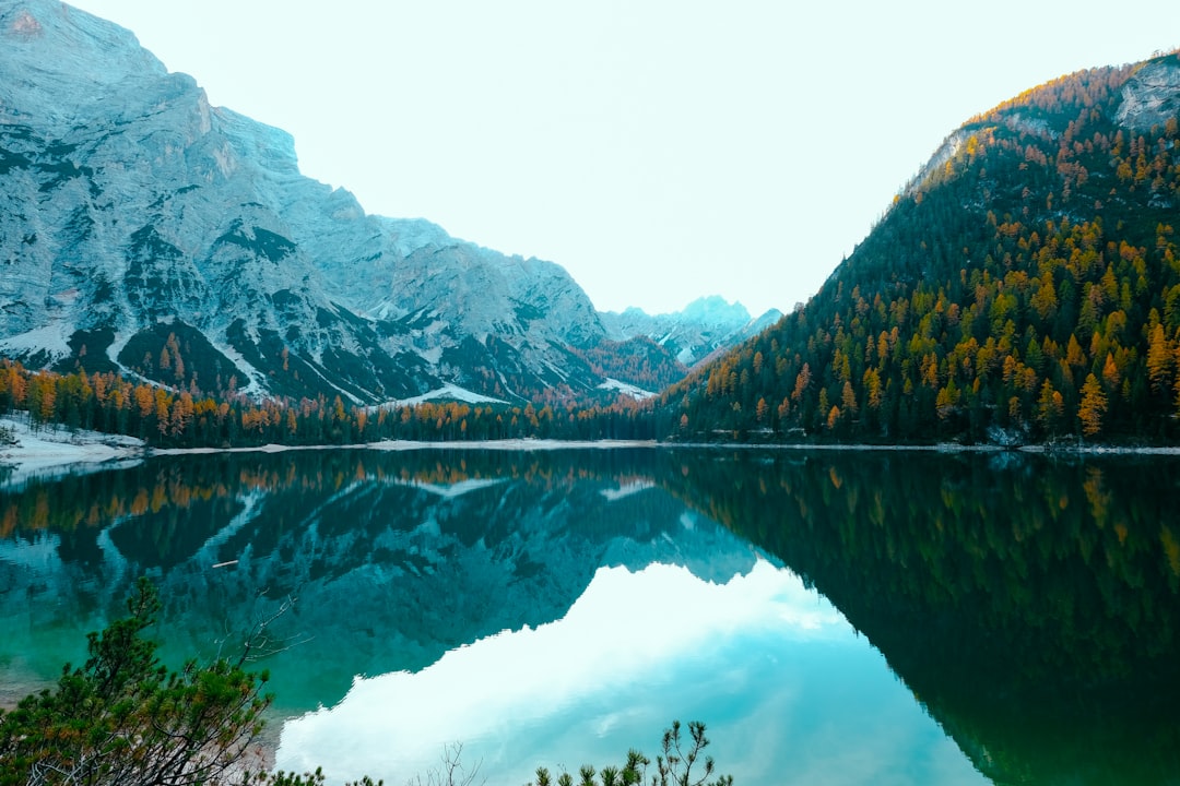 Nature reserve photo spot Lago di Braies Trentino