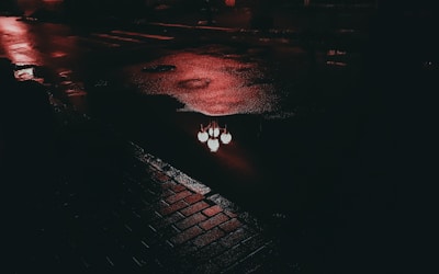 A moody, rain-soaked city street at night, rendered in 1950s technicolor style.