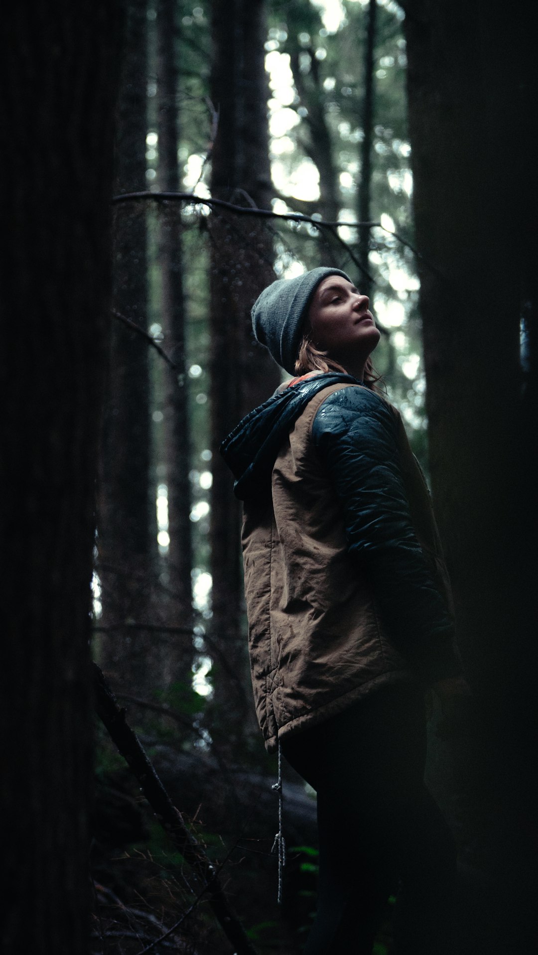 photo of Oregon Forest near Ecola State Park