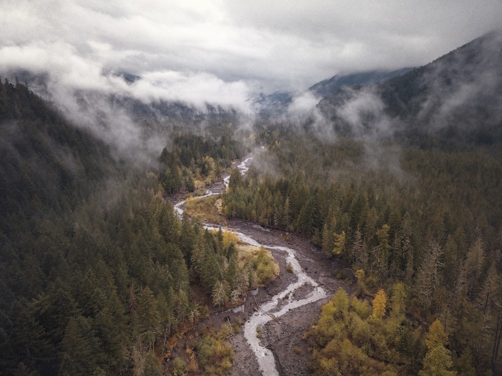 aerial view photo of river