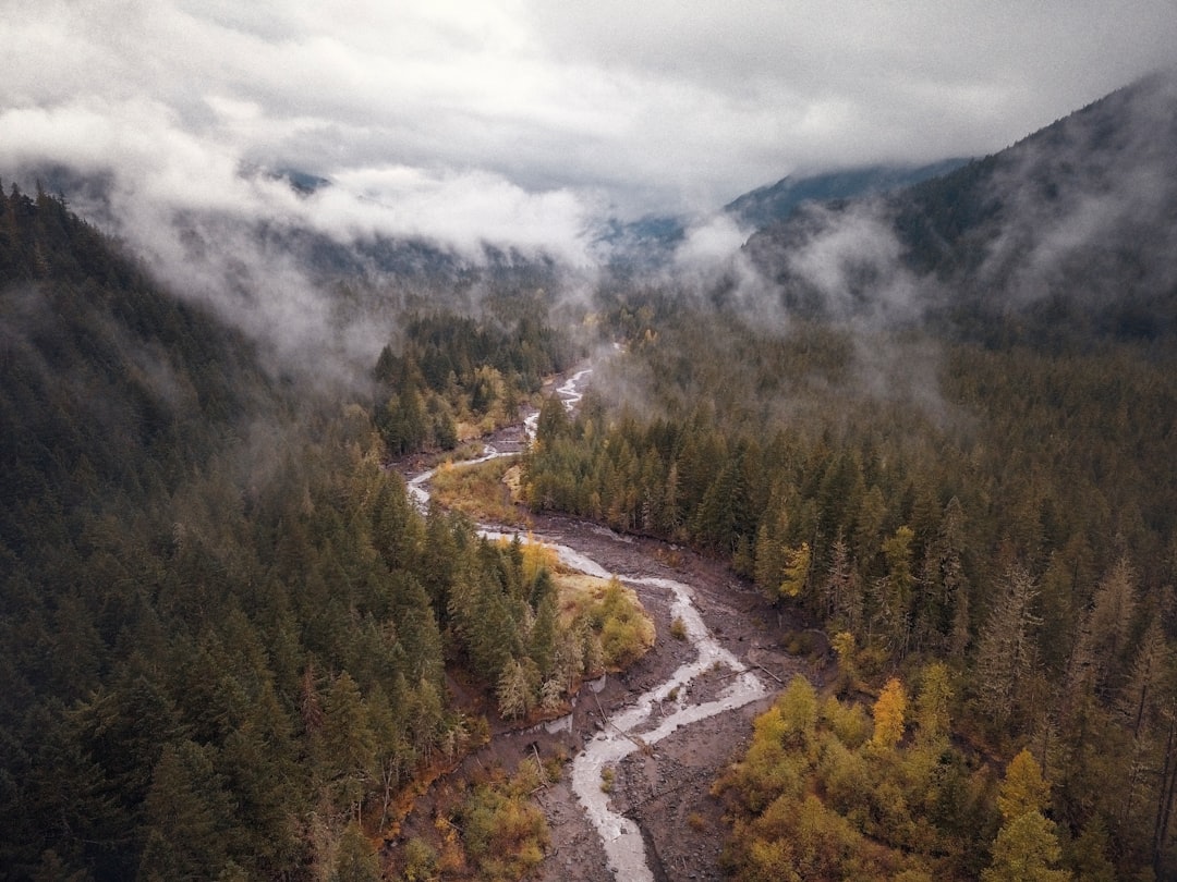 Highland photo spot Sandy River Trail #770 Mt. Hood National Forest