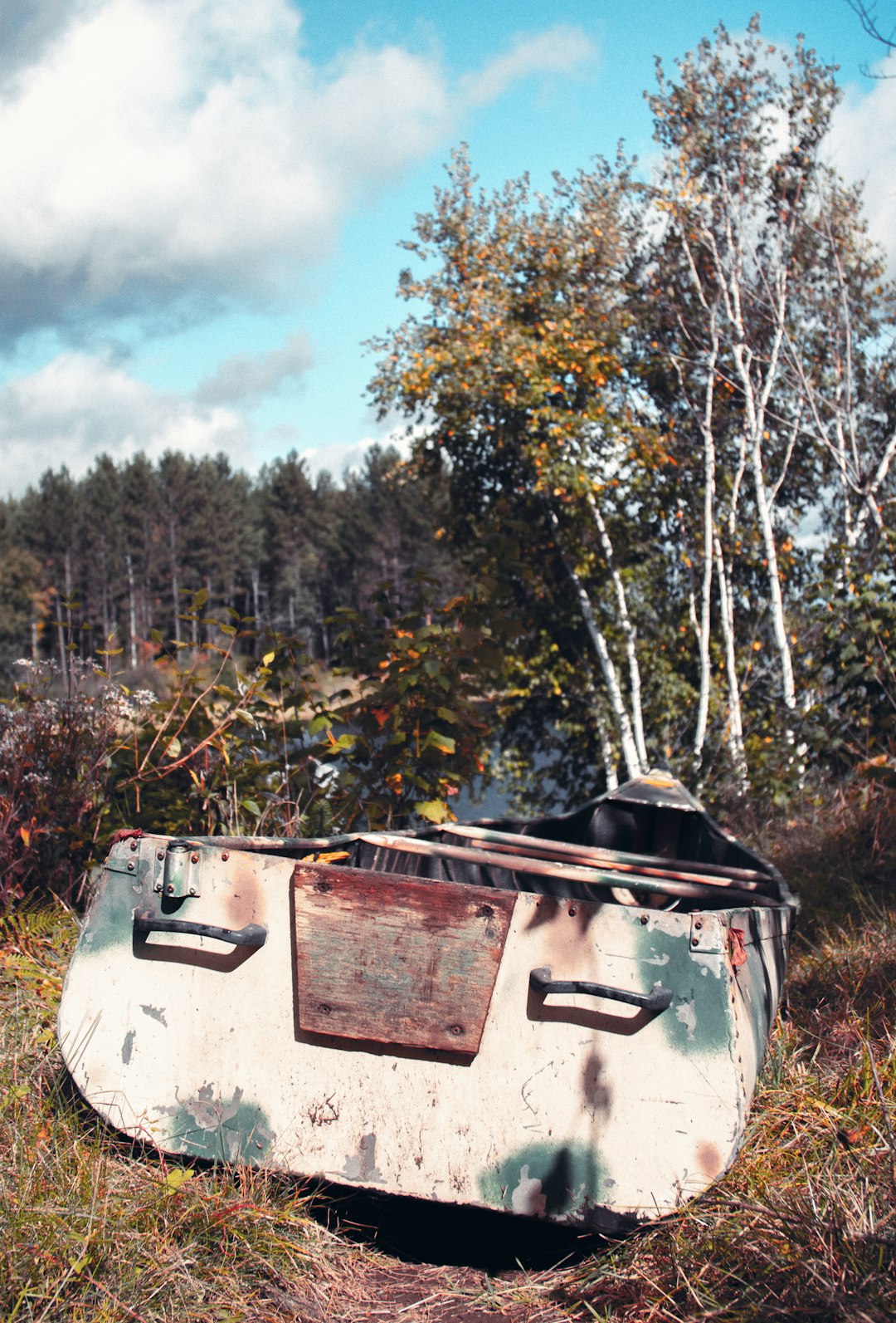 gray canoe near trees