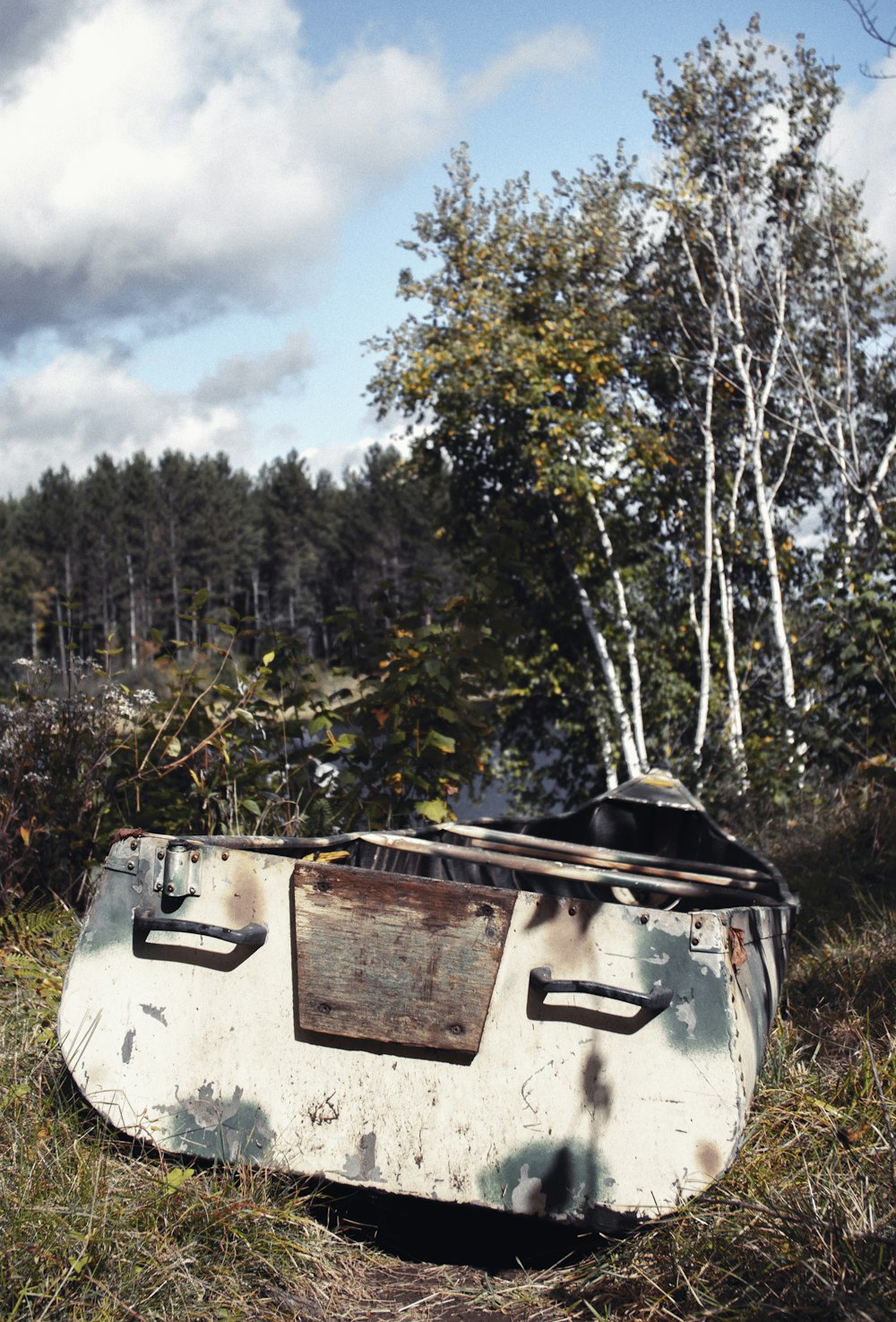 gray canoe near trees