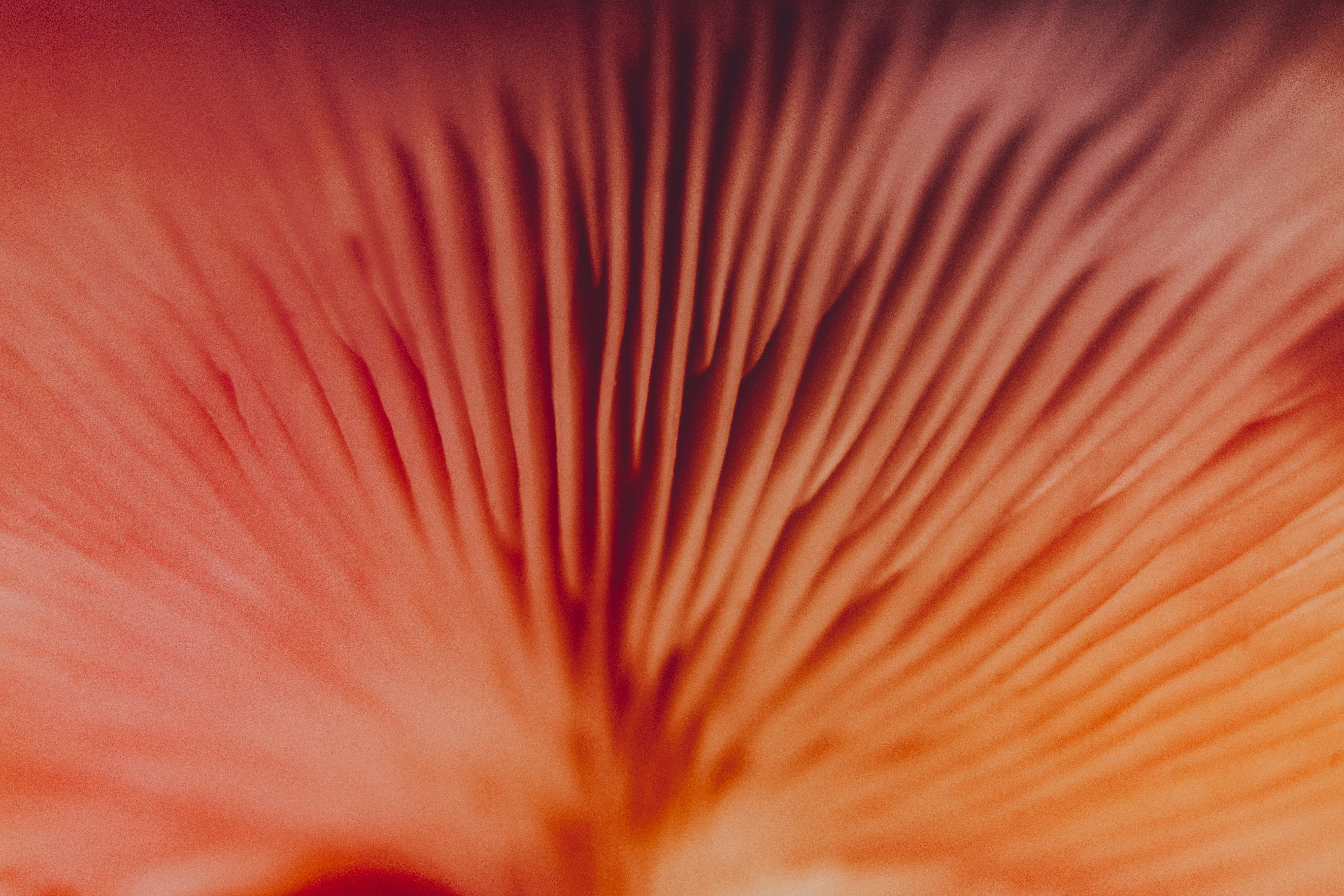 Photo by timothycdykes