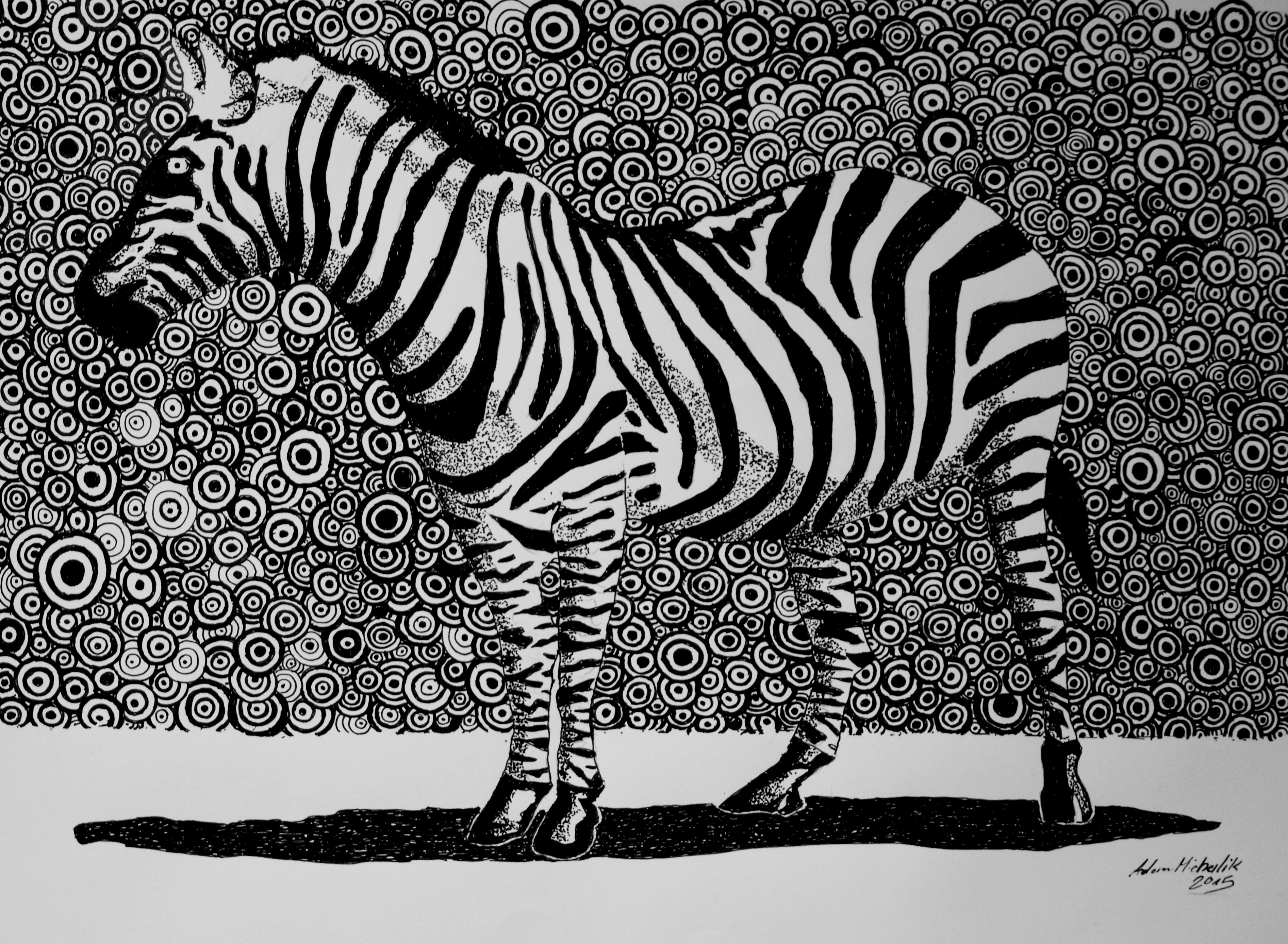 Zebra abstract