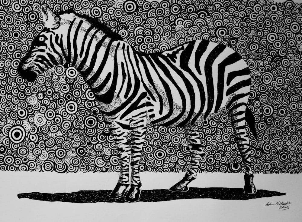 silhouette of zebra