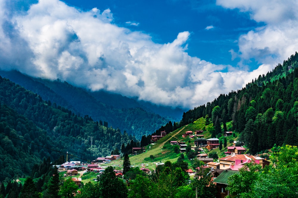 aerial photo of village surrounded by tall trees