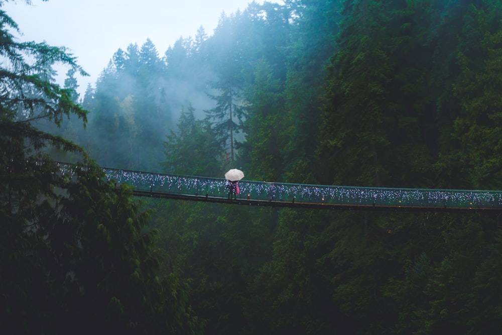 a person walking across a bridge in the middle of a forest