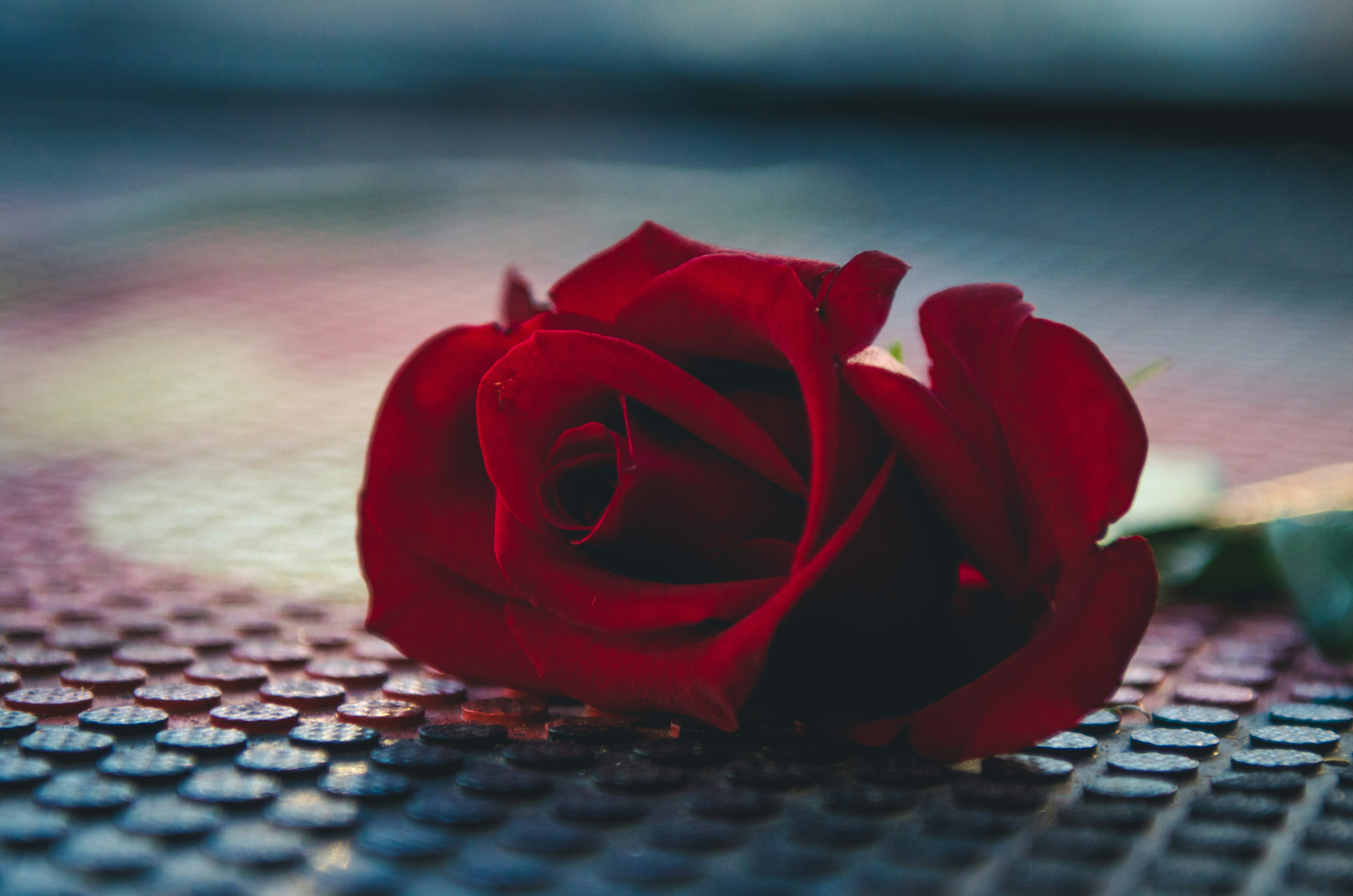 Zo vieren jullie je jubileum