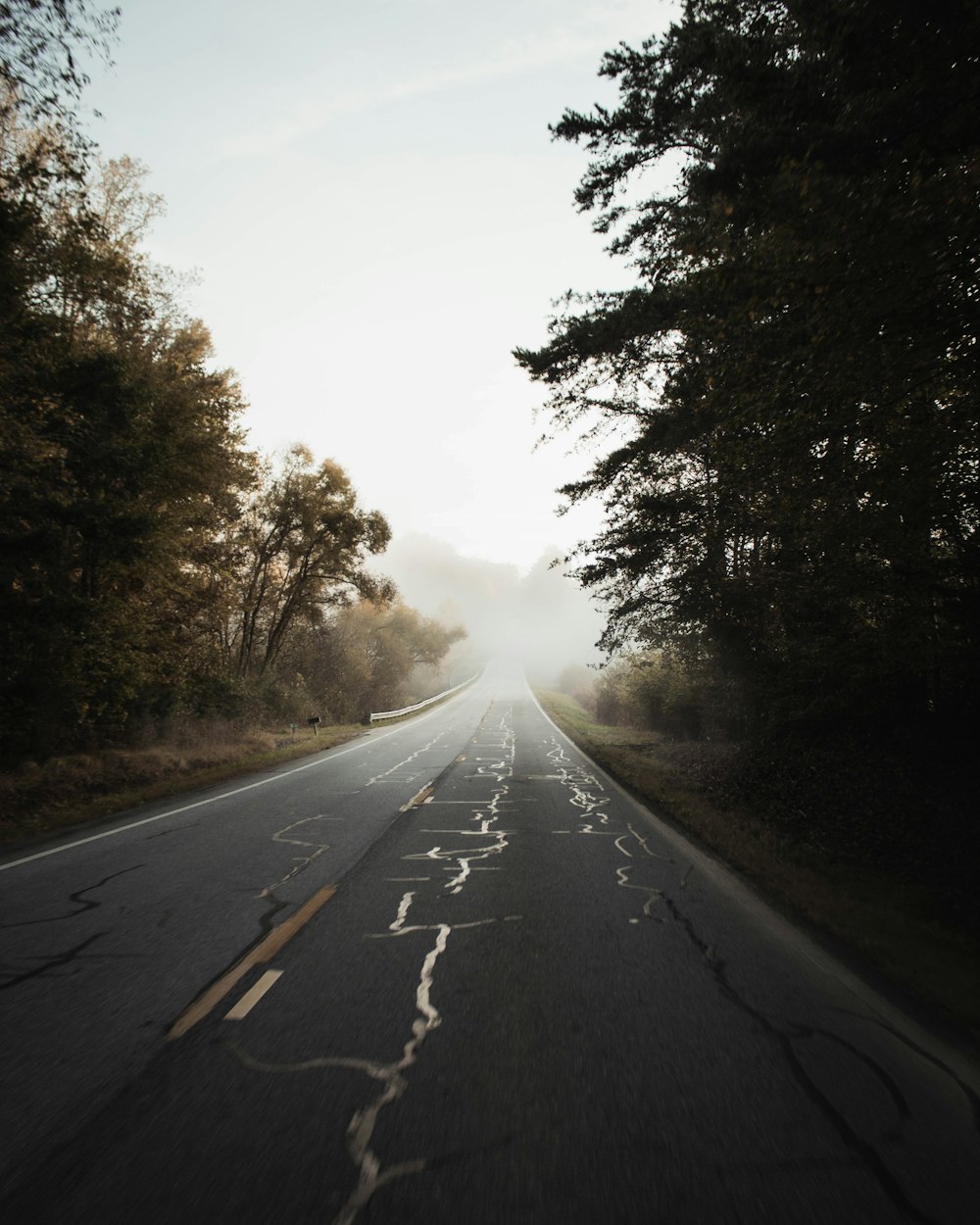 mist covered road