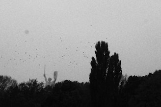 A grayscale image with a tall statue partially obscured by trees and a flock of birds flying across the sky. The statue appears to be holding a sword and shield. The scene has a somber and moody atmosphere due to the dark silhouette of the trees and statue against the lighter sky.