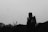 A grayscale image with a tall statue partially obscured by trees and a flock of birds flying across the sky. The statue appears to be holding a sword and shield. The scene has a somber and moody atmosphere due to the dark silhouette of the trees and statue against the lighter sky.