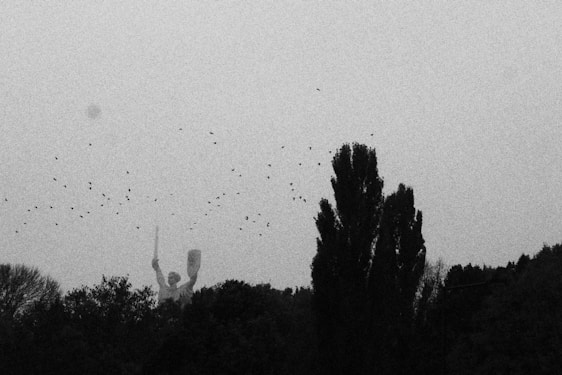 A grayscale image with a tall statue partially obscured by trees and a flock of birds flying across the sky. The statue appears to be holding a sword and shield. The scene has a somber and moody atmosphere due to the dark silhouette of the trees and statue against the lighter sky.