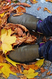 A pair of feet wearing polka-dotted shoes stand amidst a scattering of dry autumn leaves on a stone pavement. The leaves vary in color, predominantly featuring shades of yellow and brown, creating a seasonal autumnal scene.