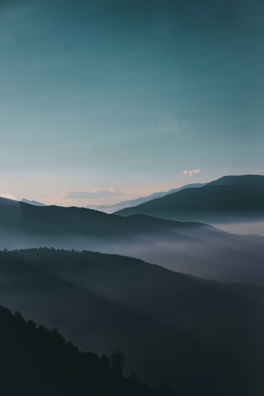 foto aerea della foresta durante il giorno