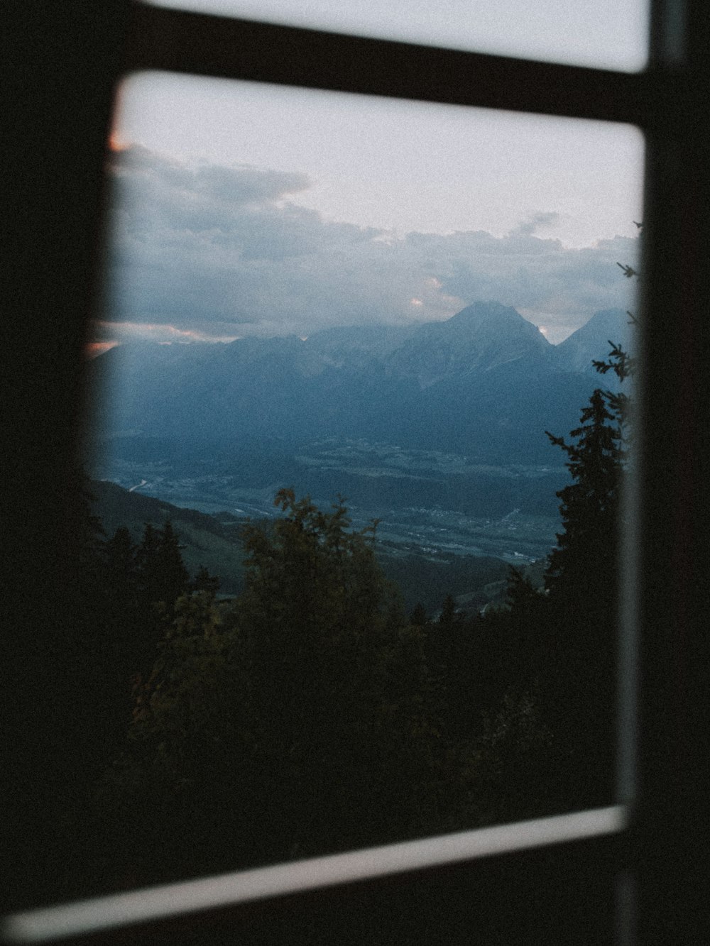 Photographie aérienne de forêt