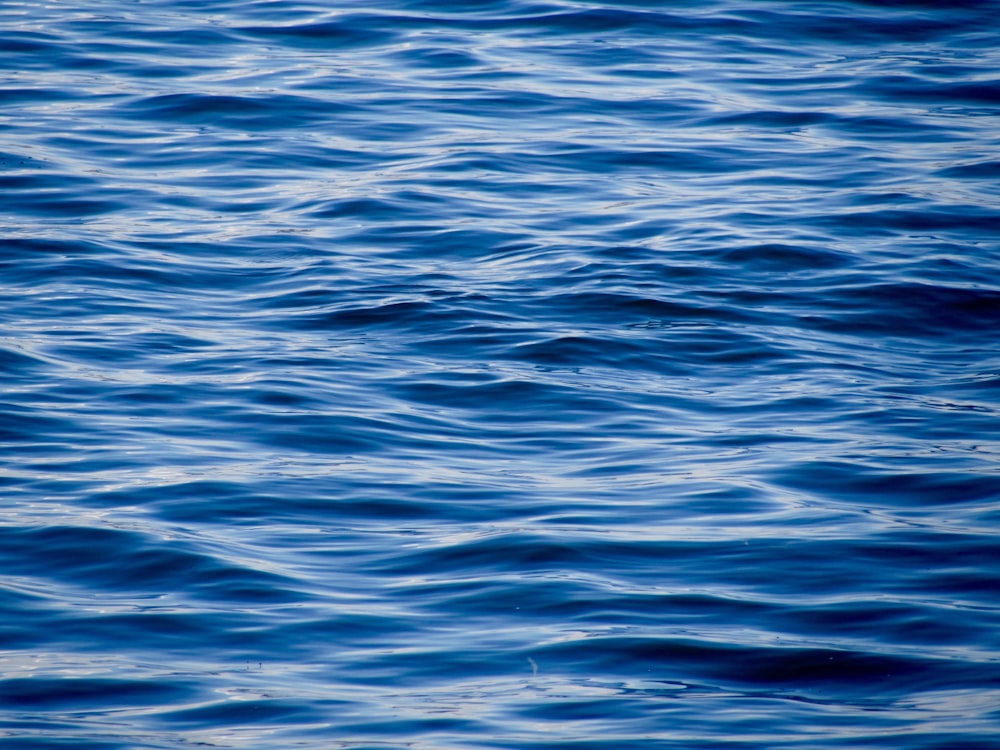 青い水の写真