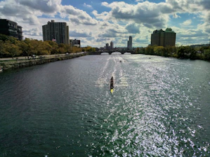 A vibrant team of dragon boat rowers powering through shimmering water under a clear sky.