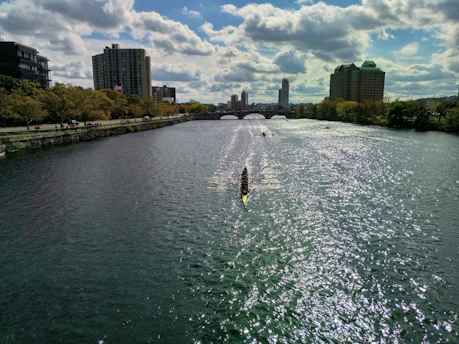 A dynamic dragon boat team rowing fiercely through shimmering blue waters under a bright sky.