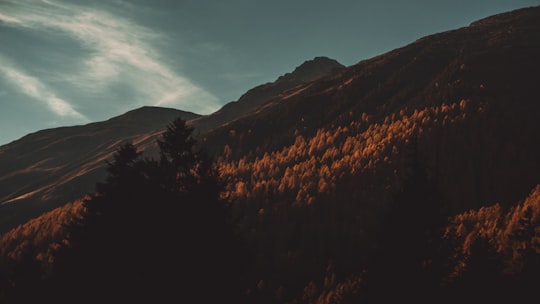 brown hill in Zernez Switzerland