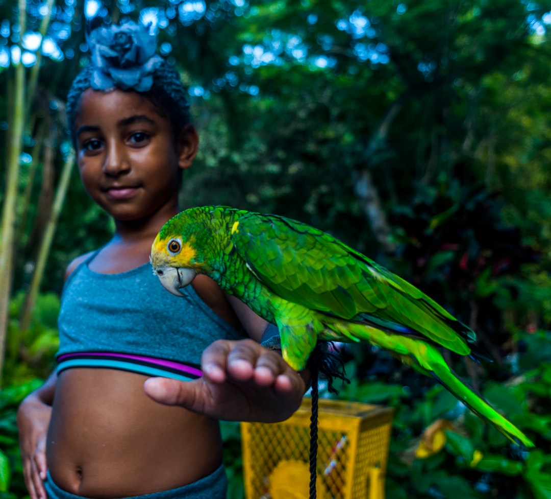 Wildlife photo spot Havana Cuba