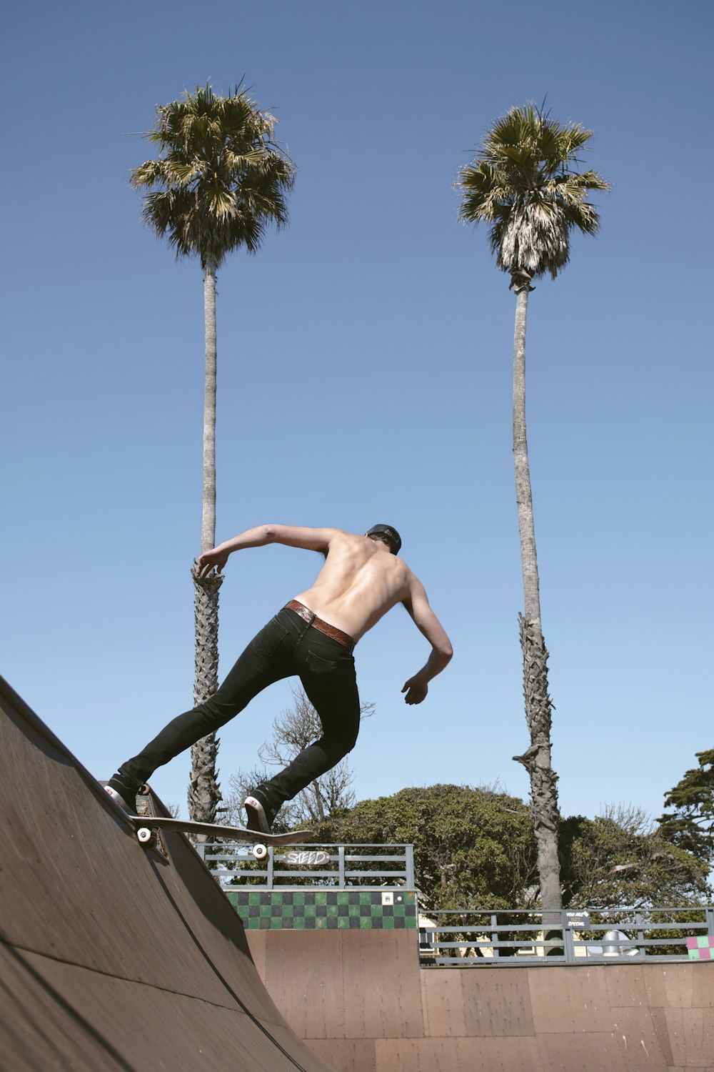man skateboarding on ramp near trees