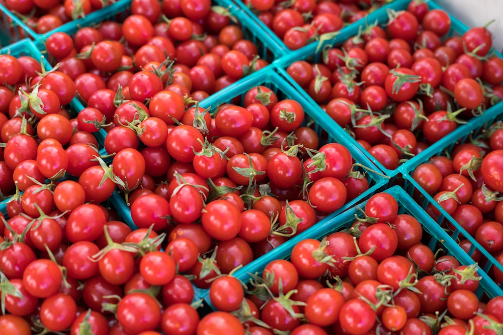 bunch of red tomatoes on crates